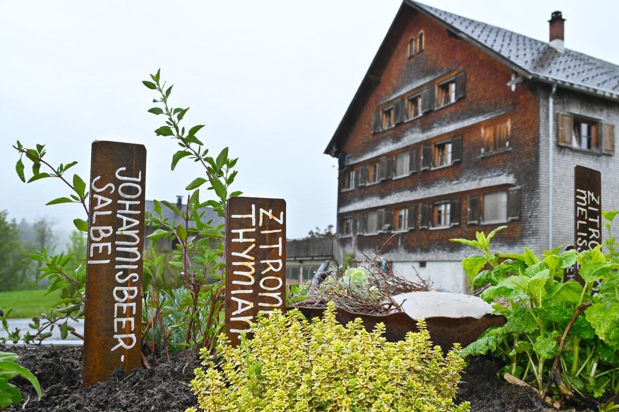 Ferienhof Landerleben エック エクステリア 写真